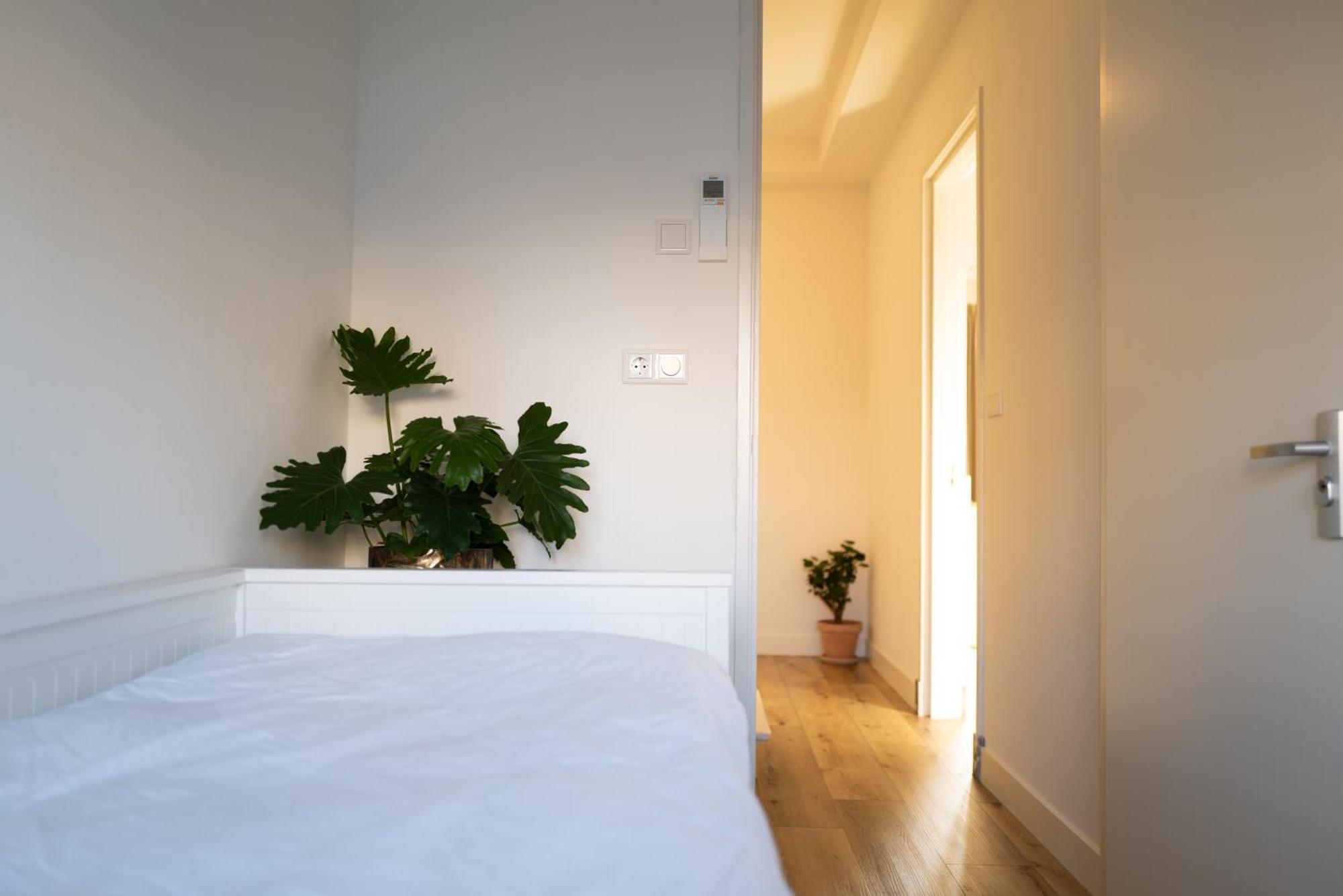 Apartmán Sea Street 32 Zandvoort Exteriér fotografie